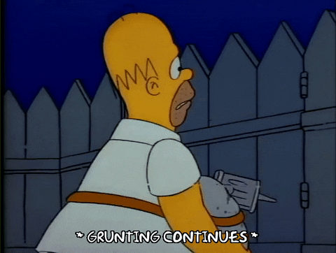 Season 1 Episode 3 GIF by The Simpsons