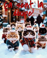 Kitty GIF by TresorsDuMonde.ca