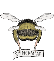 Bee Honey Sticker