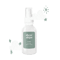 Holy Grail Skincare Sticker by Three Ships Beauty