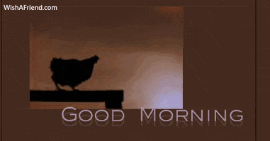 Good Morning GIF by wishafriend