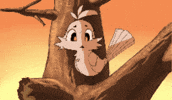 Bird Nostalgia GIF