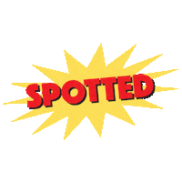 hundopizzaindia pizza yummy tasty 100 Sticker