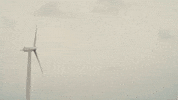 Spying Music Video GIF by Vundabar
