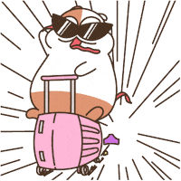 Cute Happy Sticker by Zookiz