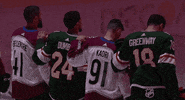 Ice Hockey GIF by NHL