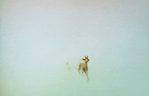 jumping GIF