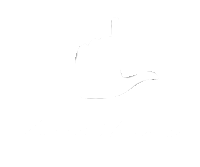 lucitano Sticker by Innovative Influence
