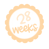 28 Weeks Baby Bump Sticker by Krissyanne Designs