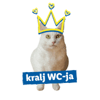 Cat Dog Sticker by Lidl Slovenija