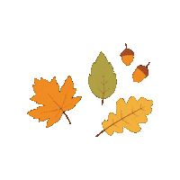 buegelfuchs diy herbst fuchs dtf Sticker