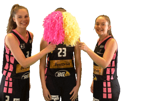 Sport Basketball Sticker by Basket_fi
