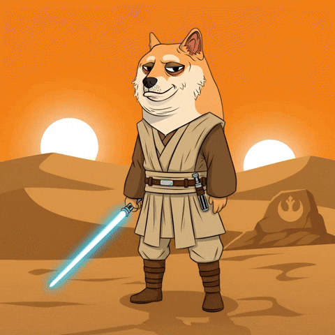 Star Wars Desert GIF by Doge Pound