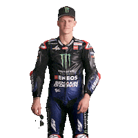 Fabio Quartararo Sport Sticker by MotoGP