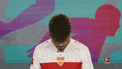 Vfb Stuttgart Football GIF by Bundesliga