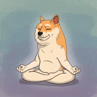 Meditating Shiba Inu GIF by Doge Pound