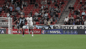 Womens Soccer Ny GIF by National Women's Soccer League