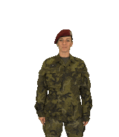 armadaceskerepubliky celebration yeah celebrating rocket Sticker