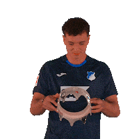 Sport Bundesliga Sticker by TSG Hoffenheim