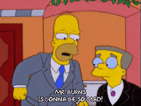 homer simpson GIF