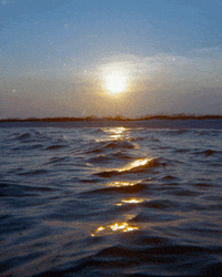 Spring Break Summer GIF by Hunter Preston