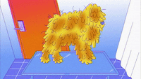 Hairy dog