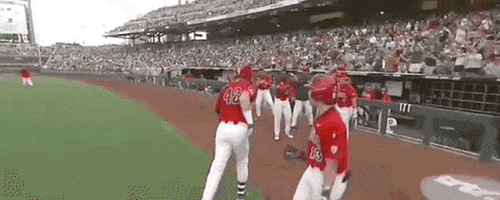 College World Series Baseball GIF by NCAA Championships