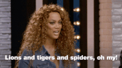 lions and tigets and spiders oh my GIF by America's Next Top Model
