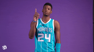 Basketball Nba GIF by Charlotte Hornets