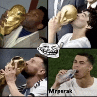 World Cup Champions Argentina GIF