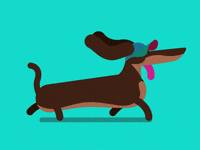 dog gif GIF