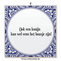 Nl Spanning GIF by Tegelspreuken.nl