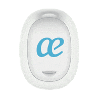 Holiday Fly Sticker by Air Europa