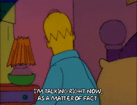 Season 1 GIF by The Simpsons