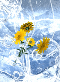 Beauty Flowers GIF by VALERIS