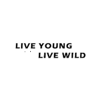 Living The Life Adventure Sticker by Trevieux Clothing