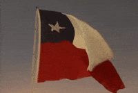Viva Chile GIF