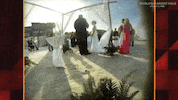 world's funniest fails GIF by Fox TV
