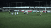 Rovers football soccer celebration ball GIF