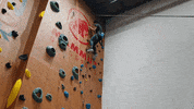 GIF by Choc Ye