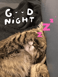Tired Good Night GIF