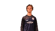 Yourdreamsarenow Theclassof2019 Sticker by De Kaascoman