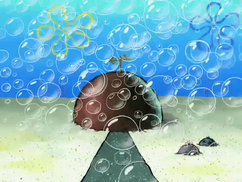 season 7 GIF by SpongeBob SquarePants