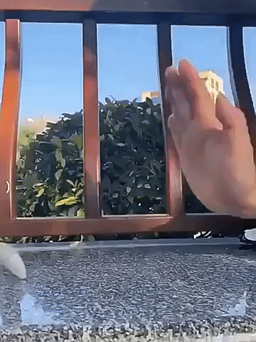 asontvstore giphyupload crawling crab toy walking crab toy crawling crab GIF