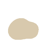 Pastel Shape Sticker