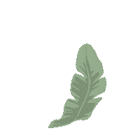 Palm Tree Beach Sticker