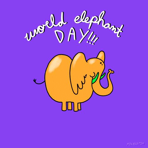 Animation Domination High-Def Artists On Tumblr GIF by gifnews
