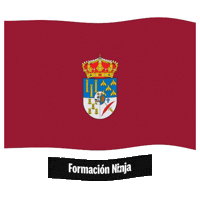 Flag Spain Sticker by Formación Ninja