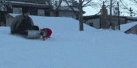 sledge GIF