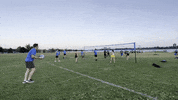 Volleyball GIF by Volo Sports